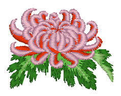 Image hébergée par servimg.com