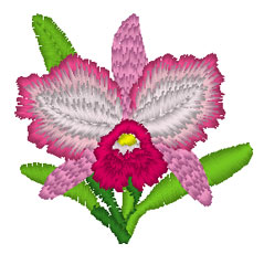 Image hébergée par servimg.com