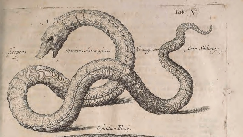 Serpent de Mer Norvégien