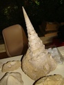 dsc01717.jpg