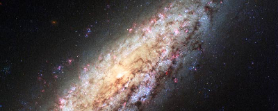 Galaxie NGC 6503