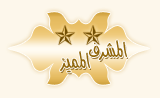 المميز المميز
