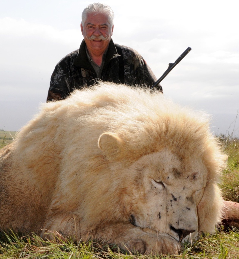 lion10.jpg