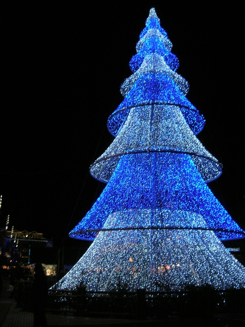 http://i18.servimg.com/u/f18/12/08/95/95/dscn4918.jpg