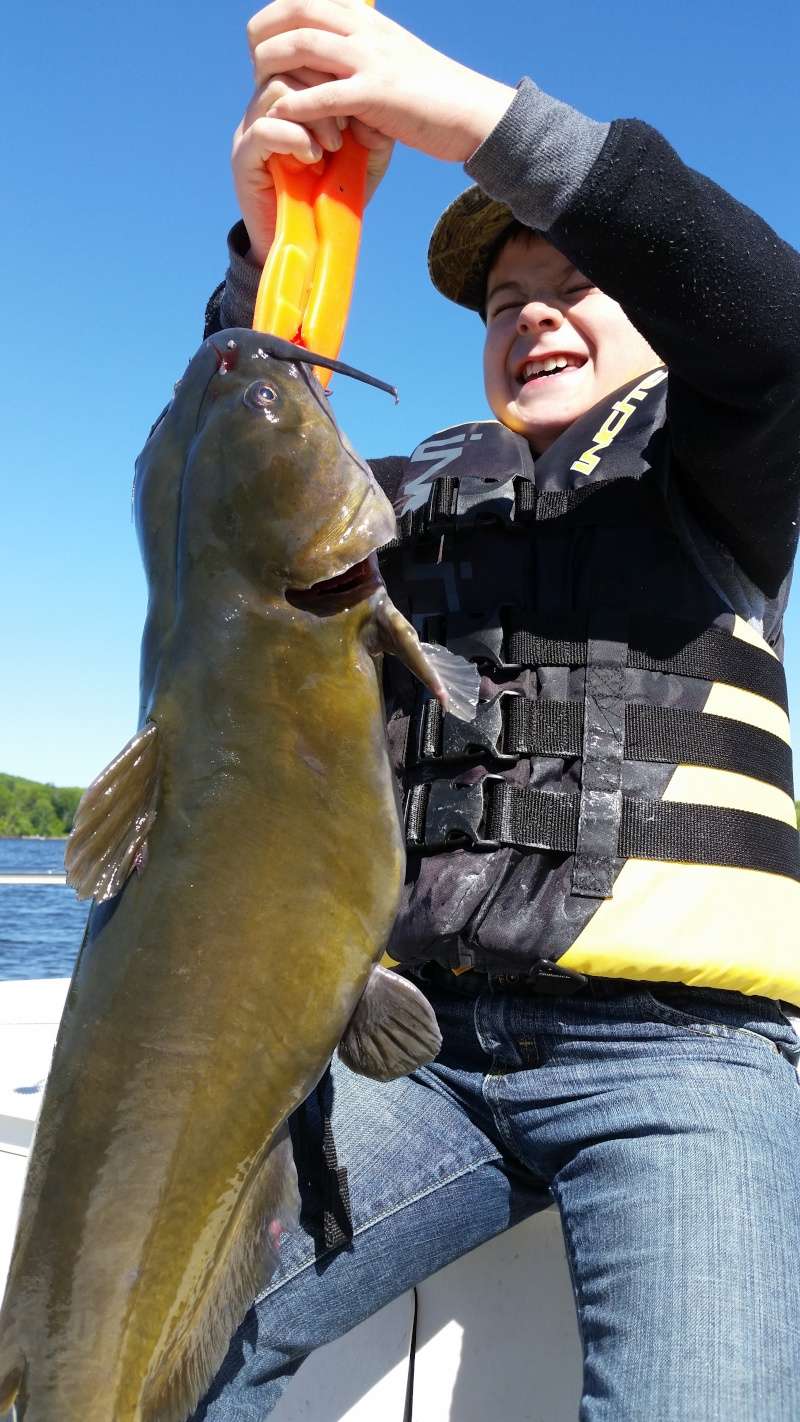  CT river catfish.middletown, portland, haddam -  Connecticut River Reports ( CT River Reports ) - A Community Built for  Connecticut Fisherman.