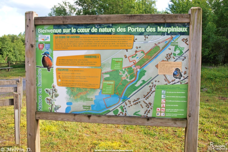 Image hébergée par servimg.com