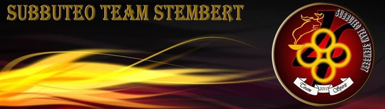 Subbuteo Team Stembert