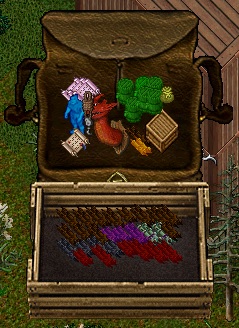 august11.jpg