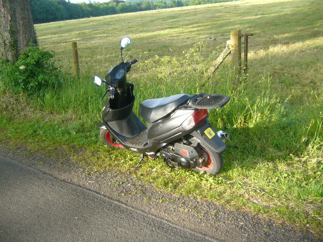 scoot_10.jpg