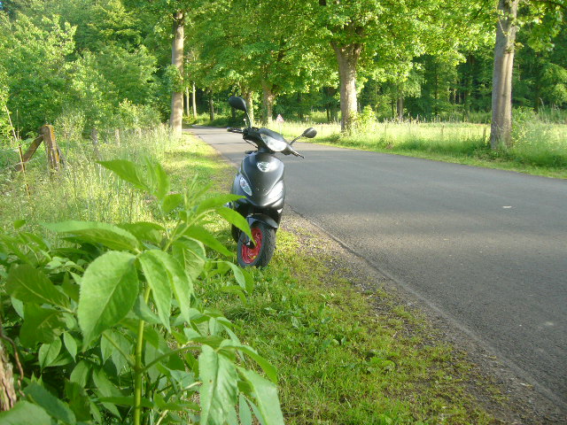 scoot_11.jpg