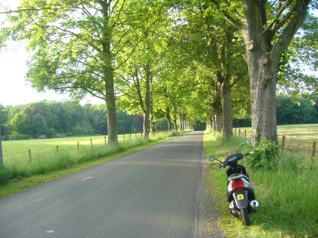 scoot_12.jpg