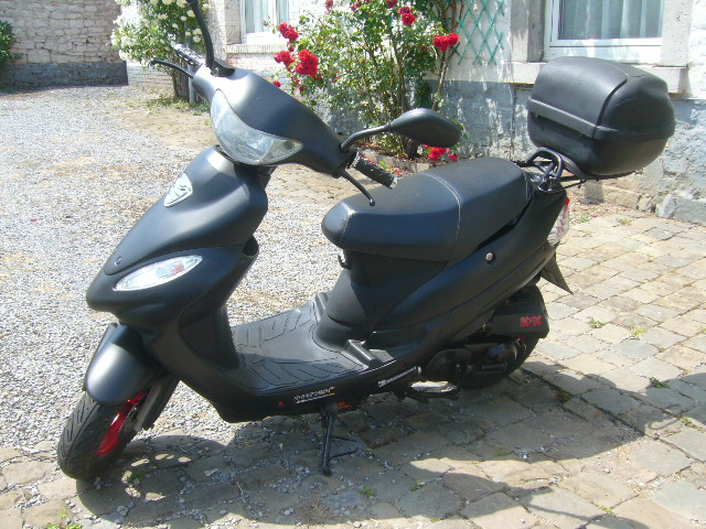 scoot_15.jpg