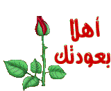 المتواجدون الآن ؟