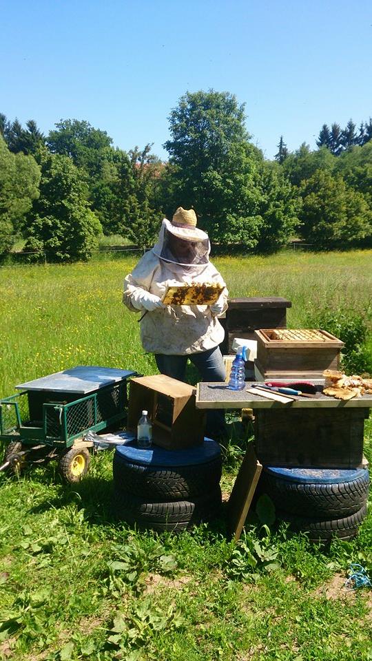 Bild