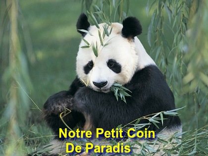 Notre Petit Coin De Paradis .