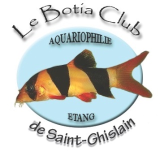 Le Botia Club