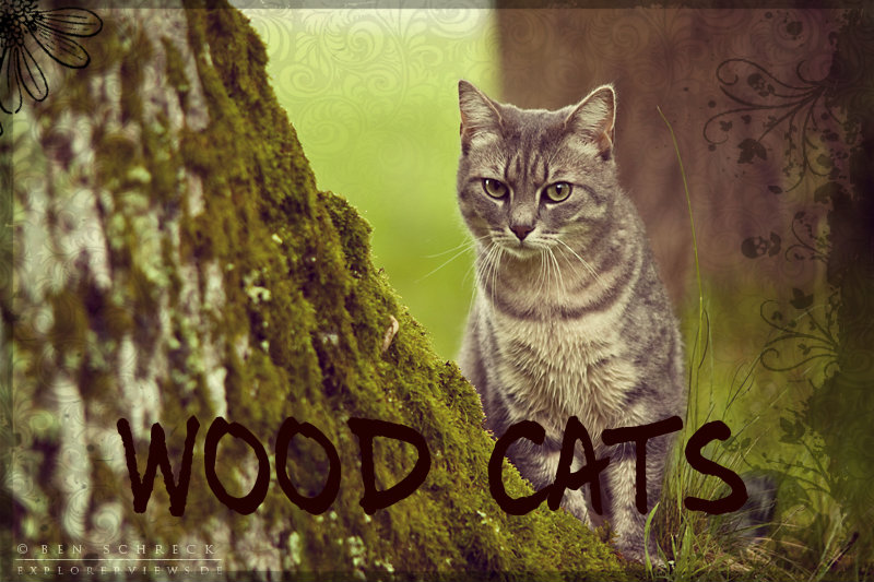 Wood Cats