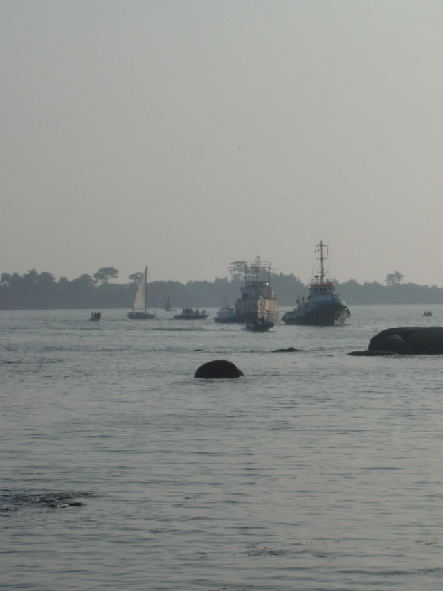 dsc03911.jpg