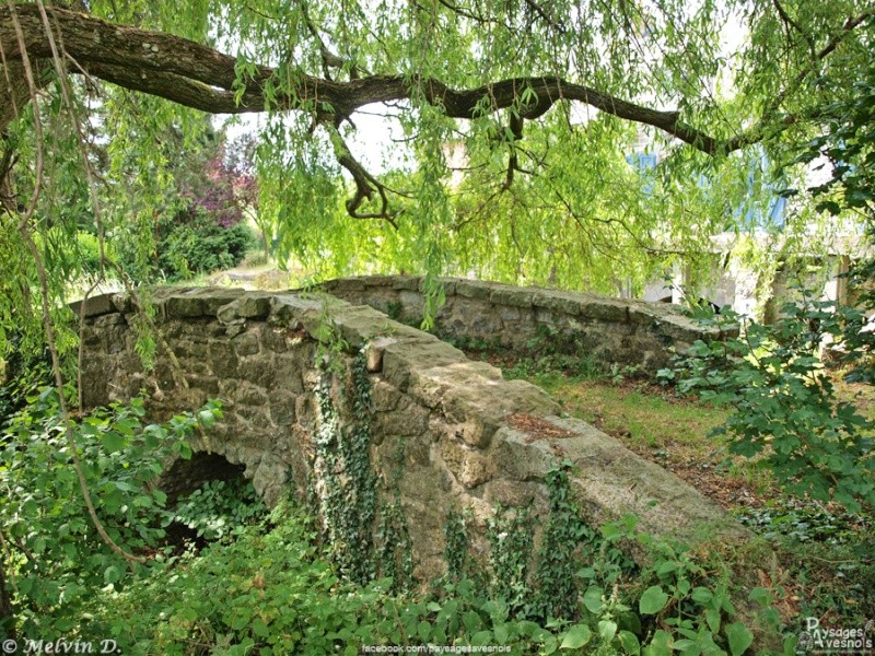 p6202719