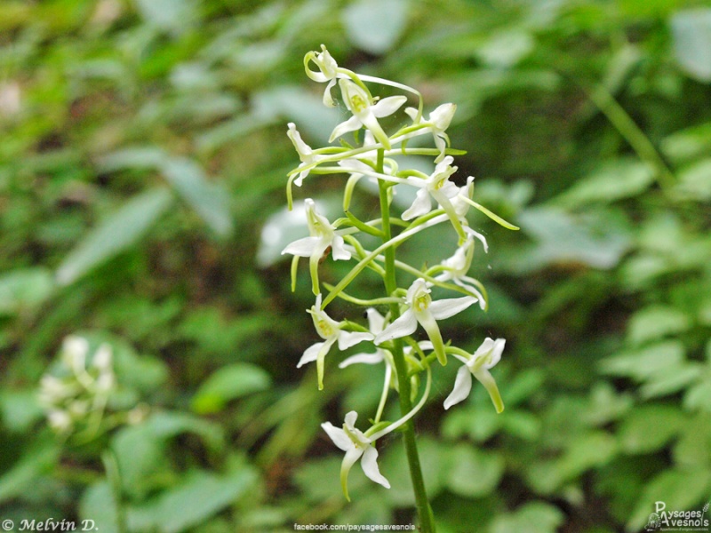 p6202721