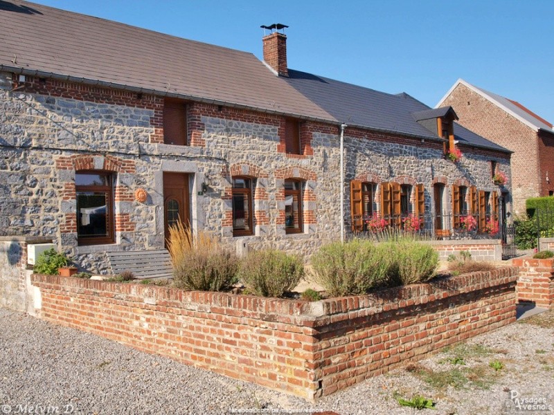 p8224516