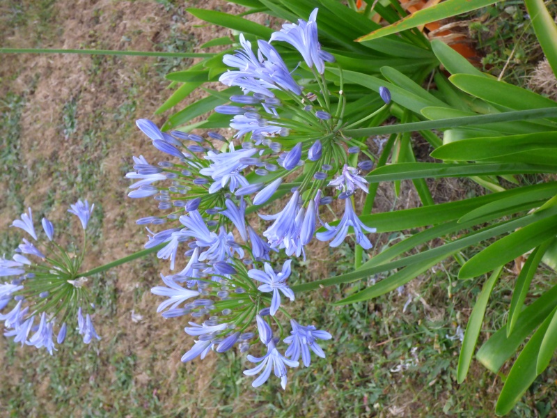 p1020315.jpg