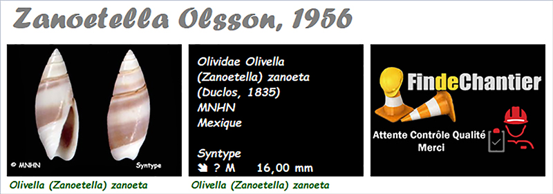 olivel31.jpg