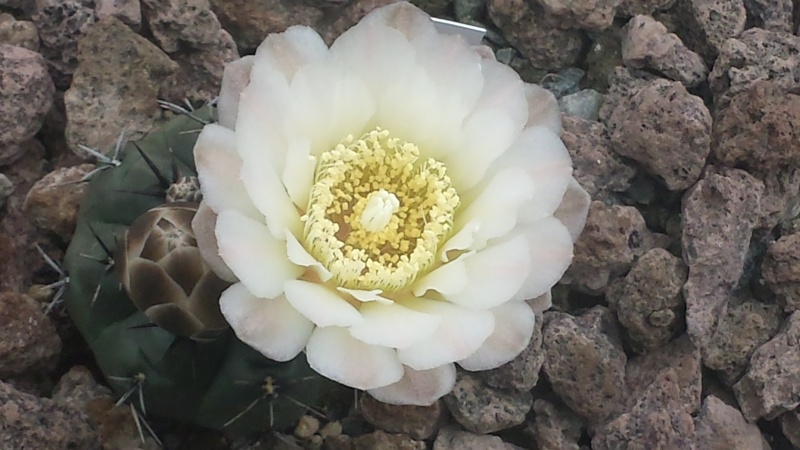 20150613.jpg