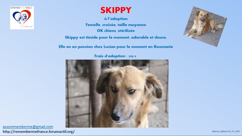 skippy11.jpg