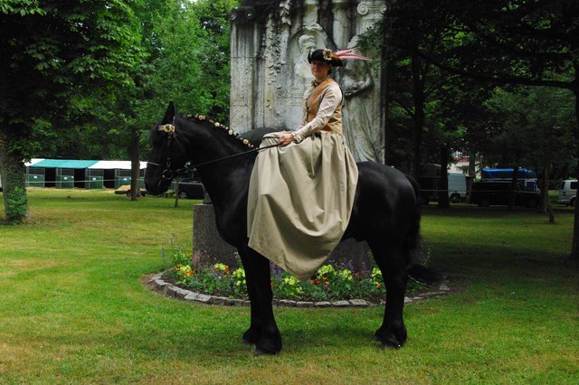 Rencontres equestres luneville
