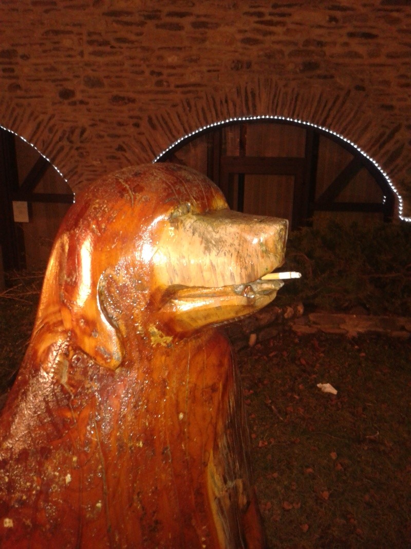 2015-010.jpg